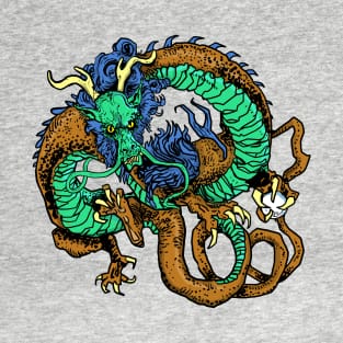 dragon lit T-Shirt